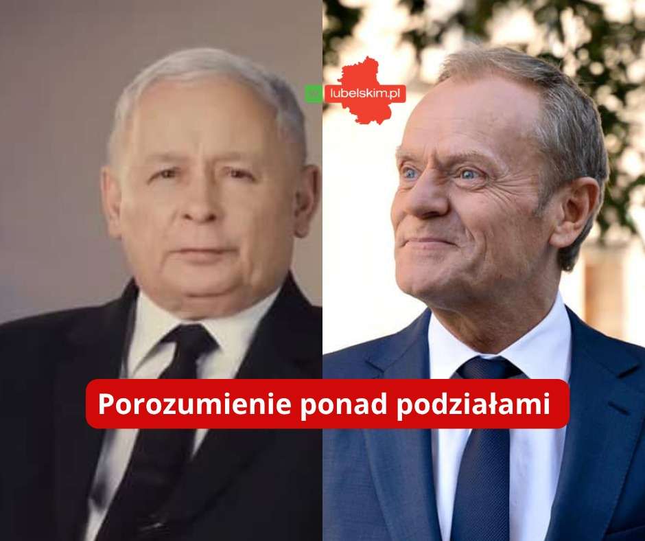 Szok! Kaczory się porozumiały
