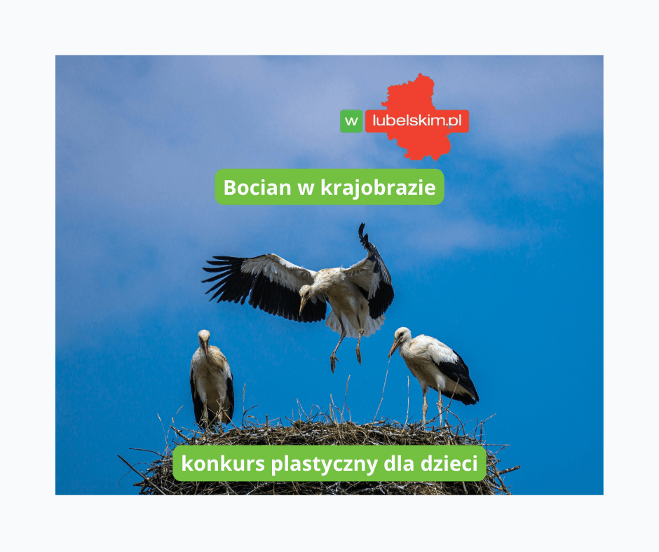Bocian w krajobrazie – konkurs dla dzieci