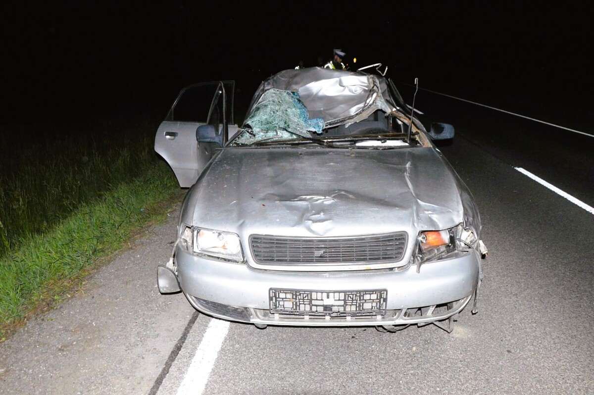 Groźne zdarzenie drogowe z łosiem na DK48