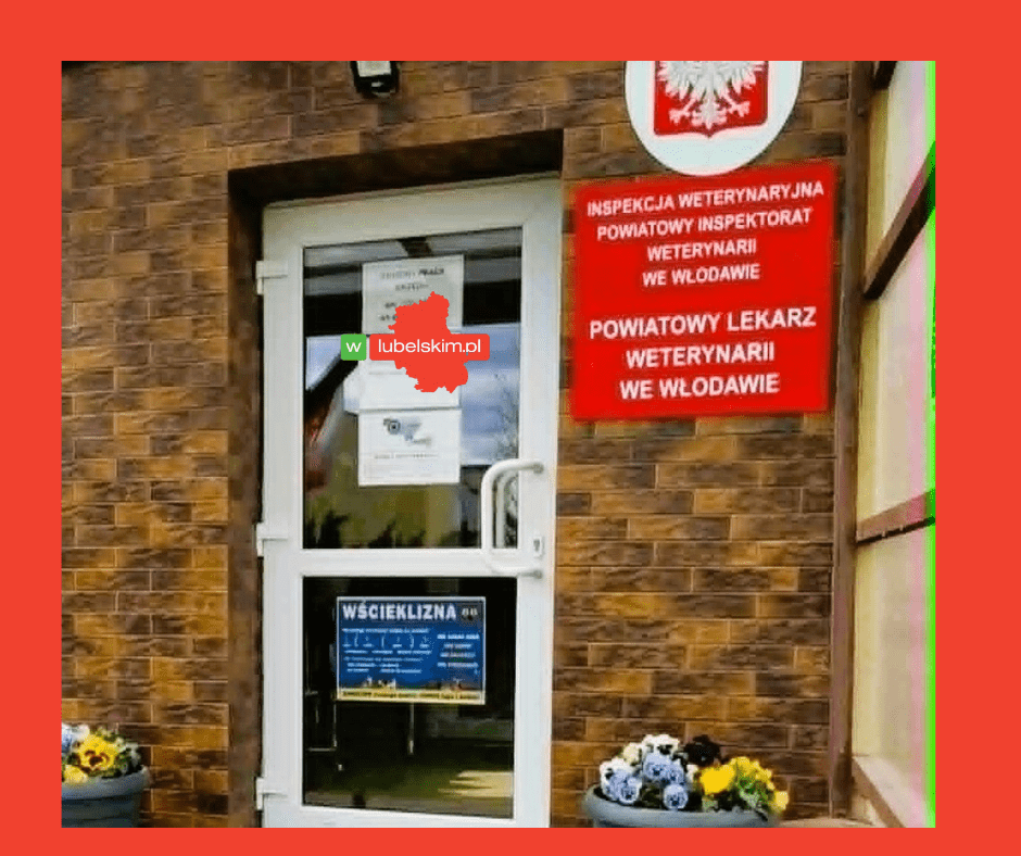 Mobbing w Weterynarii Włodawa. Jest akt oskarżenia