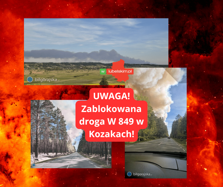 Pożar lasu Roztocze. 200 strażaków w akcji