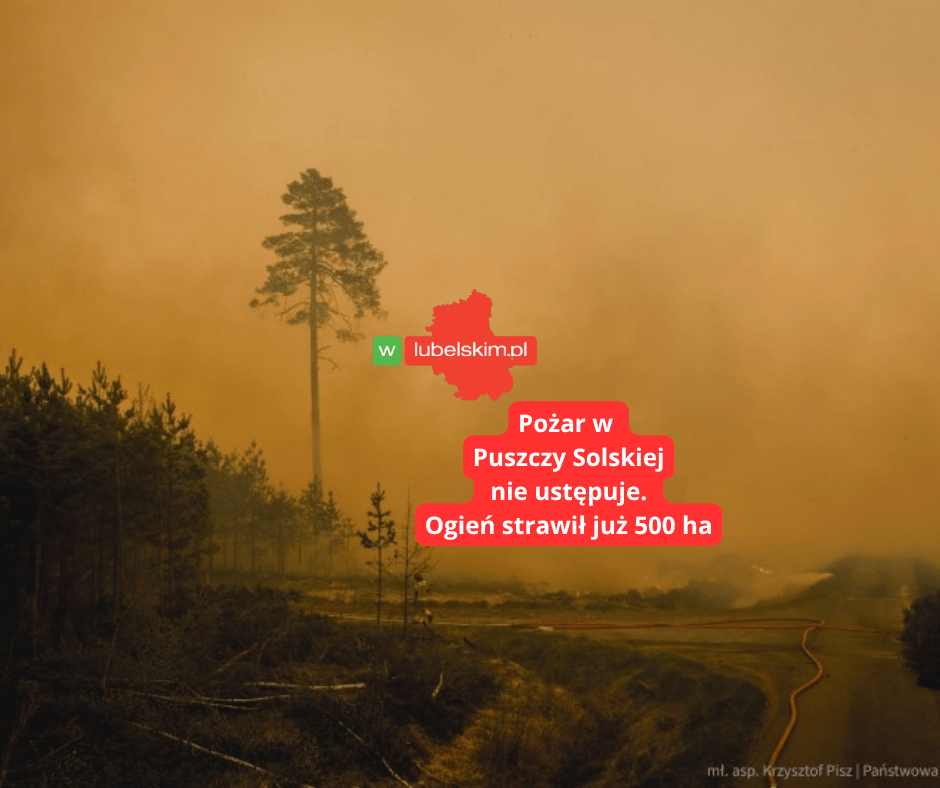 Pożar Puszczy Solskiej objął już 500 hektarów