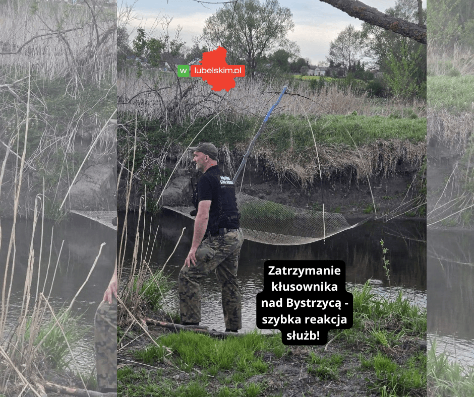 Strażnicy złapali kłusownika nad Bystrzycą. Grozi mu więzienie