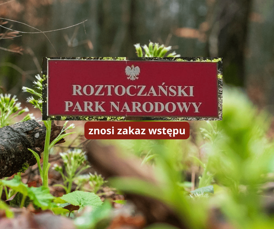 Roztoczański Park Narodowy znosi zakaz wstępu, ale apeluje o ostrożność