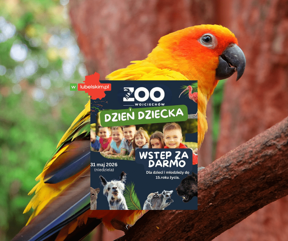 Dzień Dziecka Zoo Wojciechów – wstęp gratis