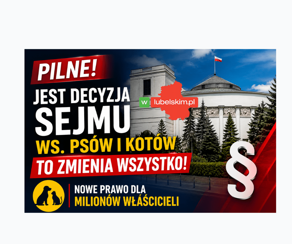 Czy Sejm naprawdę zmienił przepisy dotyczące psów i kotów?