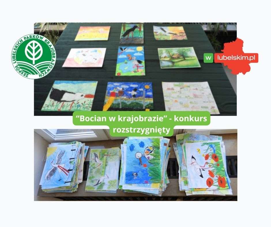Bocian w krajobrazie – znamy laureatów konkursu