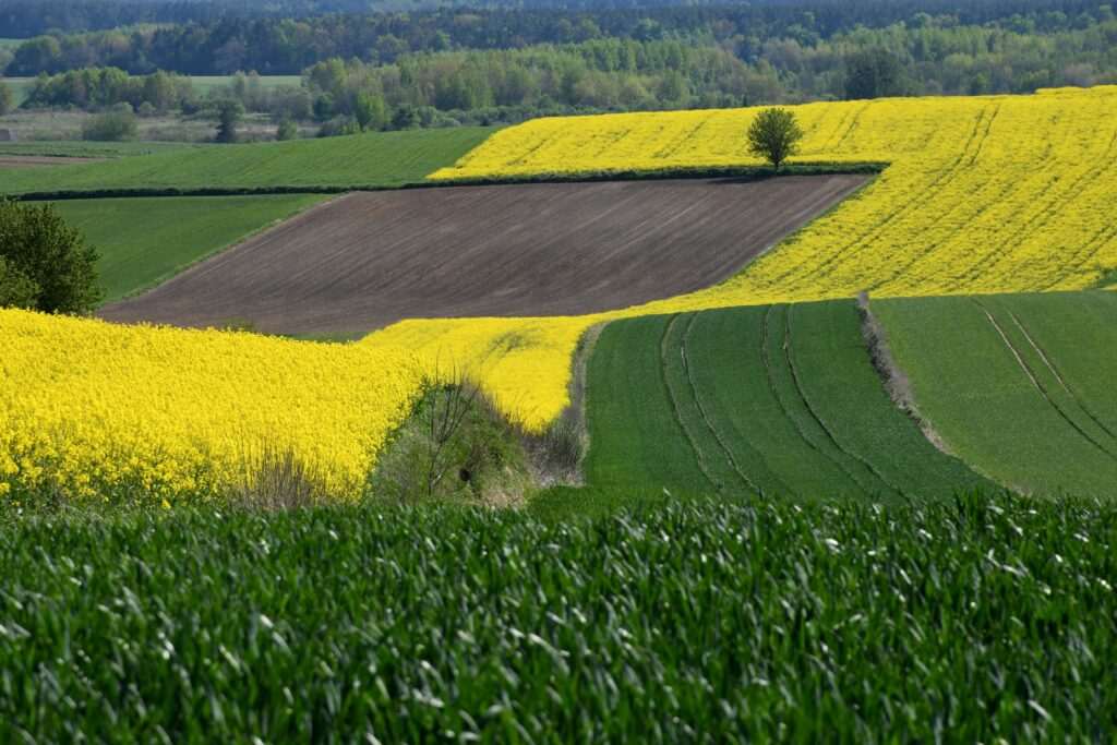 Powiat tomaszowski zachwyca