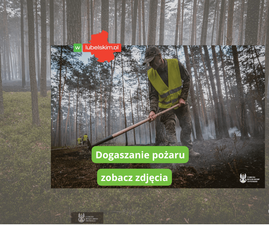 Choć pożar Puszczy Solskiej osłabł, to Terytorialsi nadal w akcji
