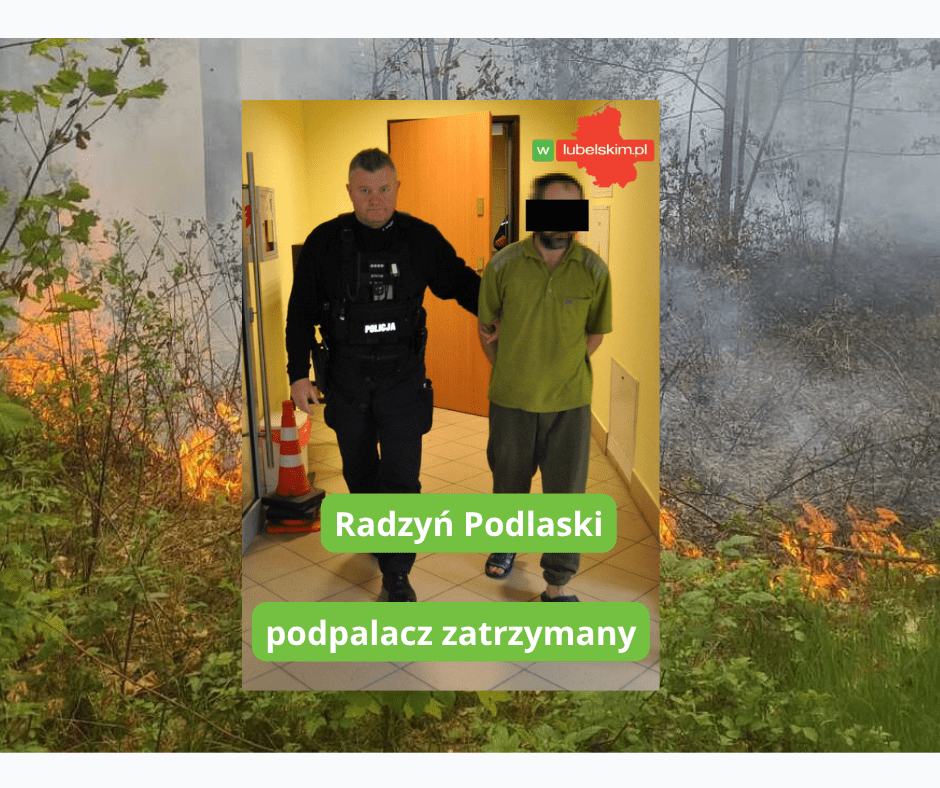 Podpalenia lasów Radzyń: sprawca zatrzymany