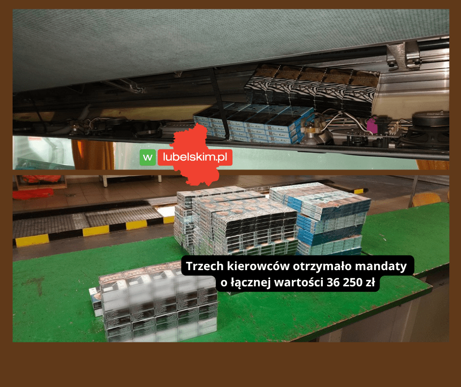 Przemyt papierosów Terespol: cztery autobusy zatrzymane