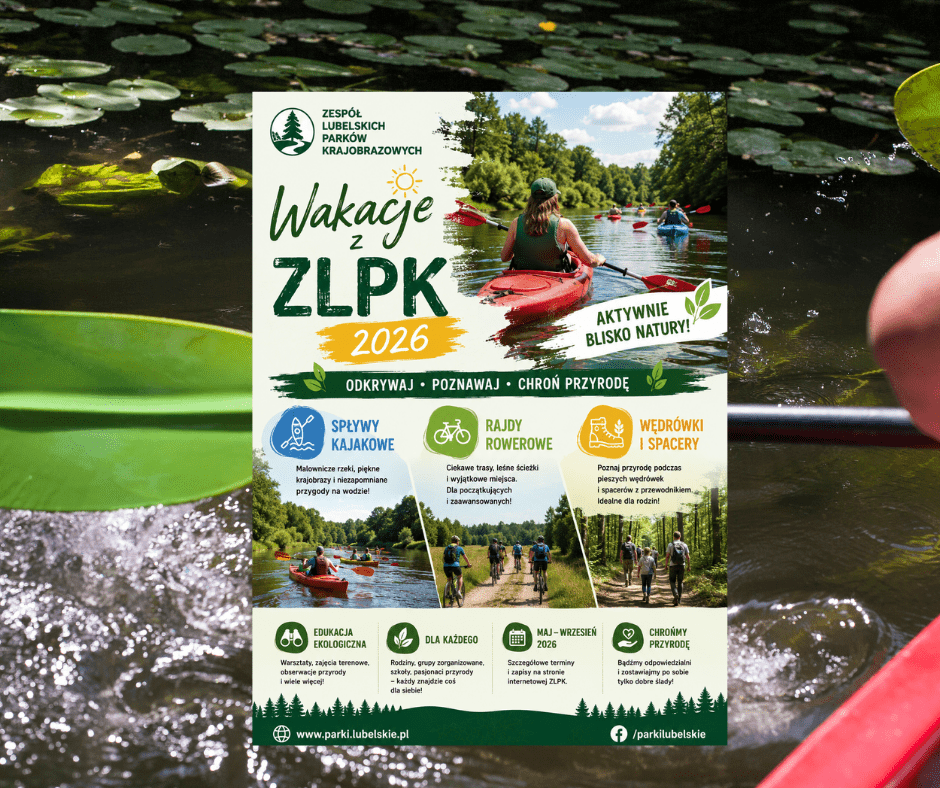 Wakacje z ZLPK 2026. Spływy kajakowe, rajdy rowerowe i piesze wędrówki czekają na mieszkańców Lubelszczyzny