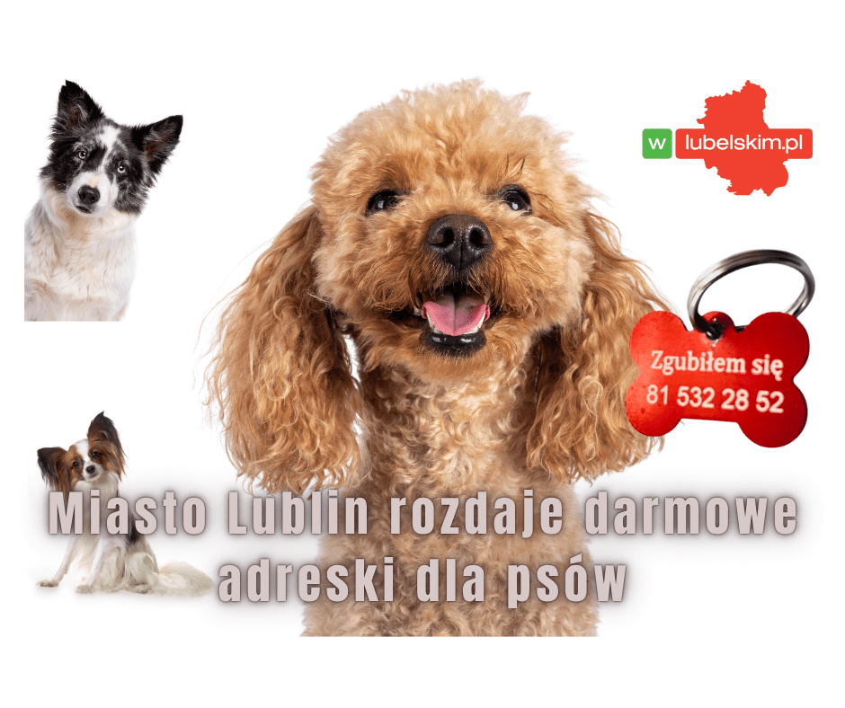 Bezpłatne adresatki dla psów czekają na mieszkańców Lublina