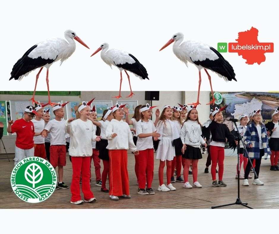 Parada Bocianów w Białej Podlaskiej 2026