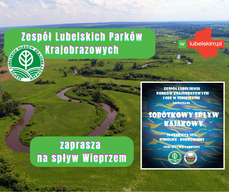 Sobótkowy spływ kajakowy nad Wieprzem
