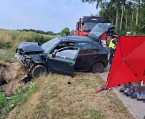 Śmiertelny wypadek w gminie Zakrzówek. Nie żyje 68-letnia kierująca