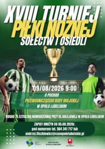 Turniej Piłki Nożnej Sołectw i Osiedli w Opolu Lubelskim