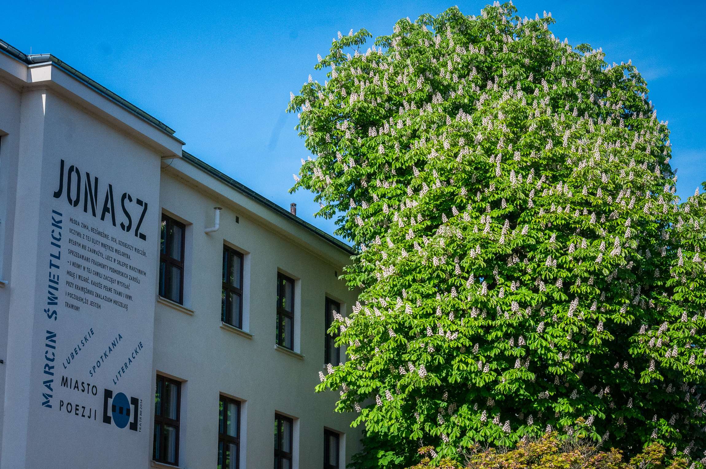 Ponad 880 wolnych miejsc w szkołach Lublina