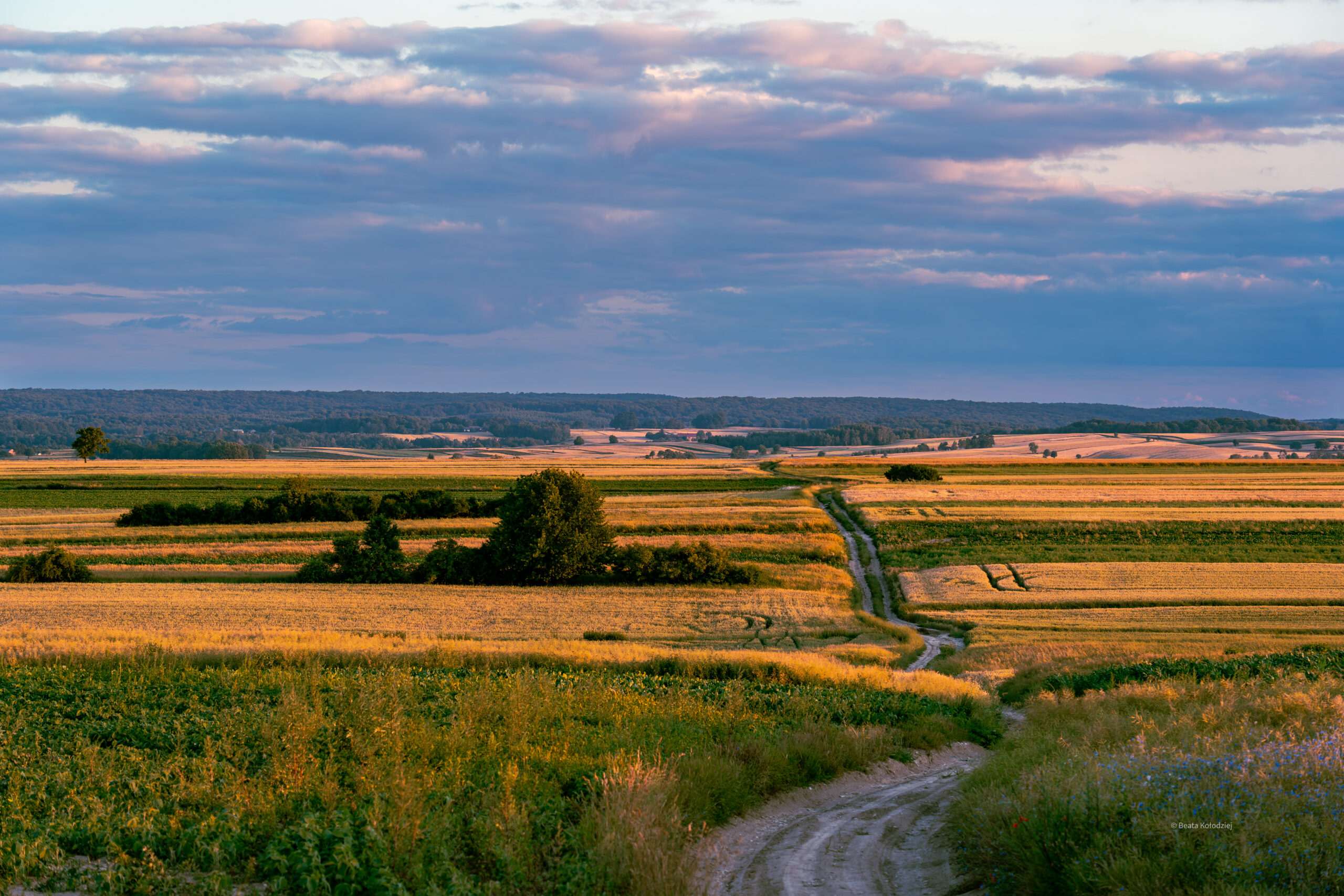 Quiz: lubelskie jest piękne