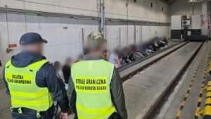 7 cudzoziemców zatrzymanych przy granicy z Litwą. Ukrywali się w ciężarówce z torfe