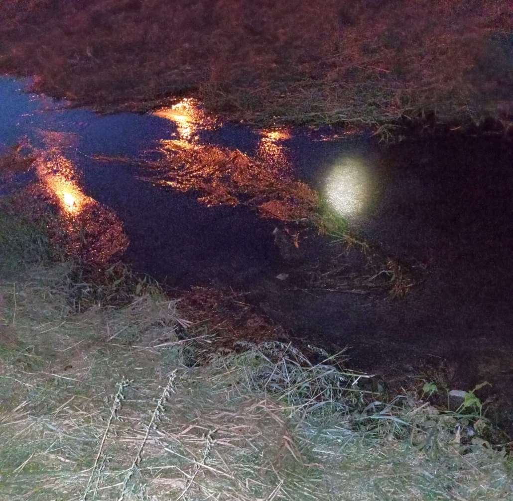 Zanieczyszczenie Czerniejówki w Lublinie. WIOŚ wykrył wysokie stężenie oleju mineralnego