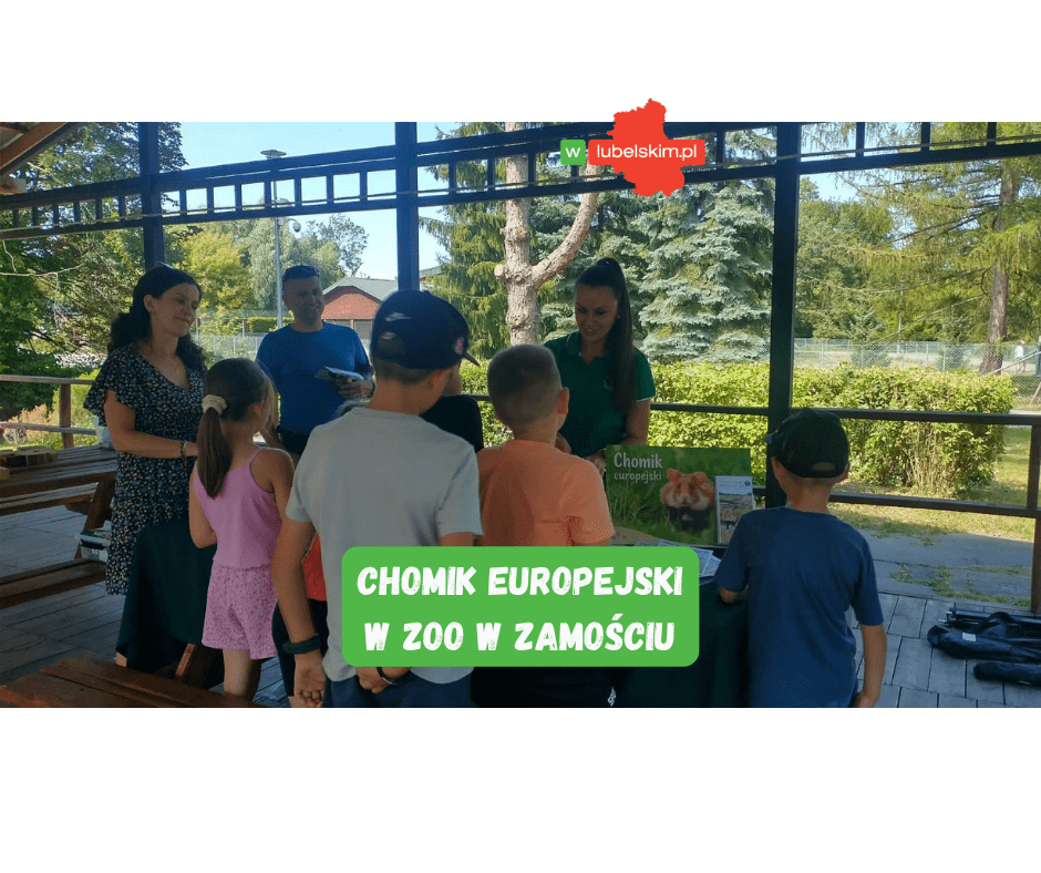 Wakacje z chomikiem europejskim w ZOO w Zamościu
