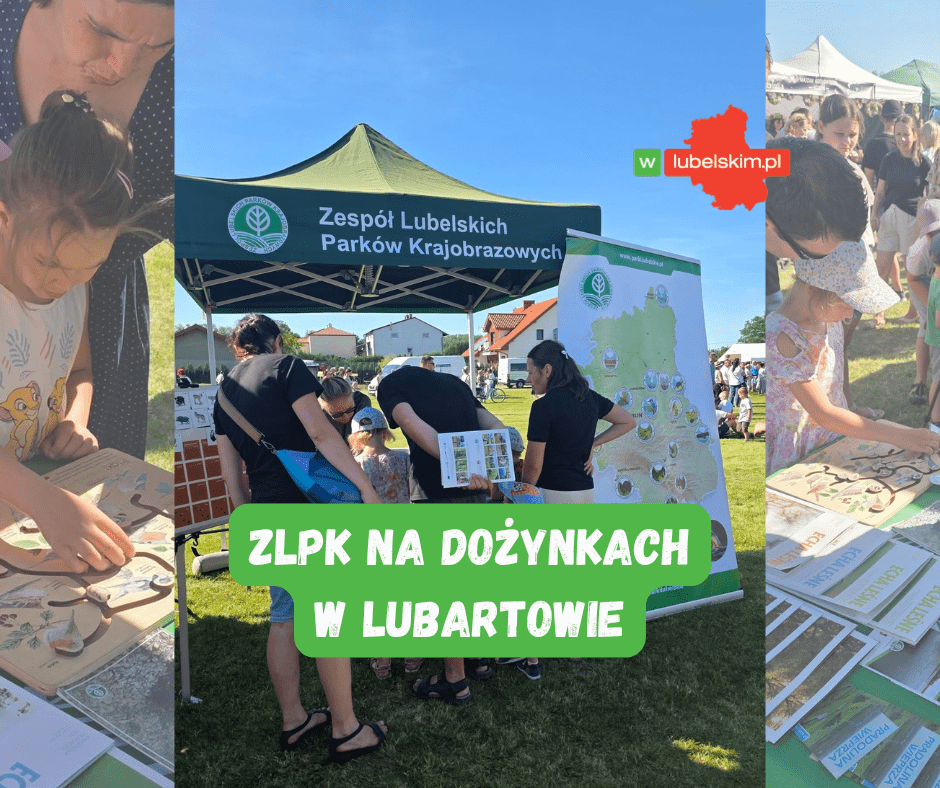 ZLPK na Dożynkach Gminy Lubartów