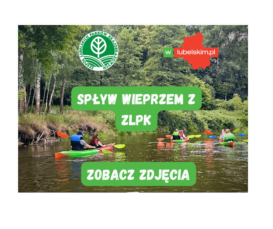 Spływ kajakowy Wieprzem przyciągnął miłośników natury